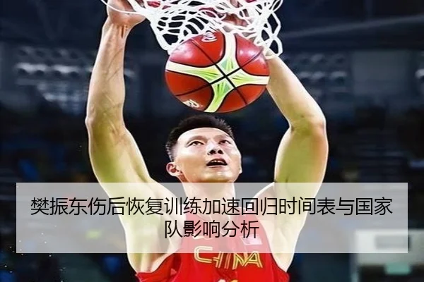 樊振东伤后恢复训练加速回归时间表与国家队影响分析